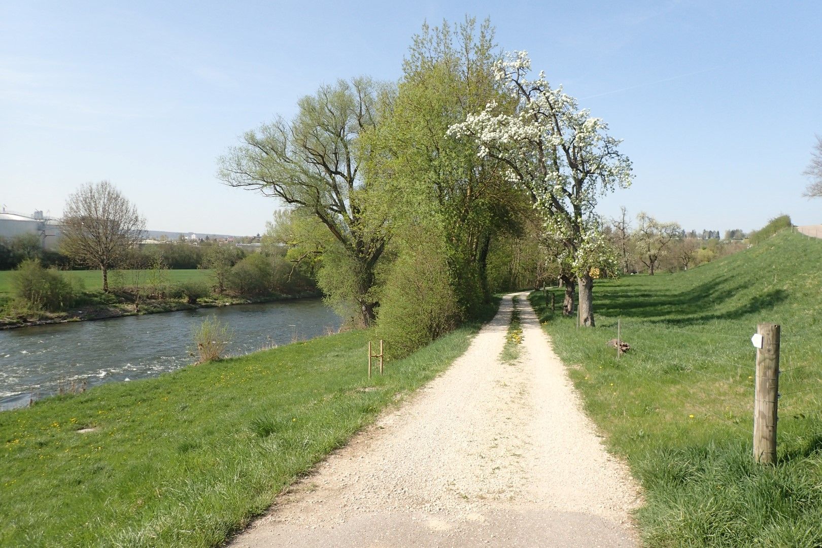 Donau bei Ehingen-Berg