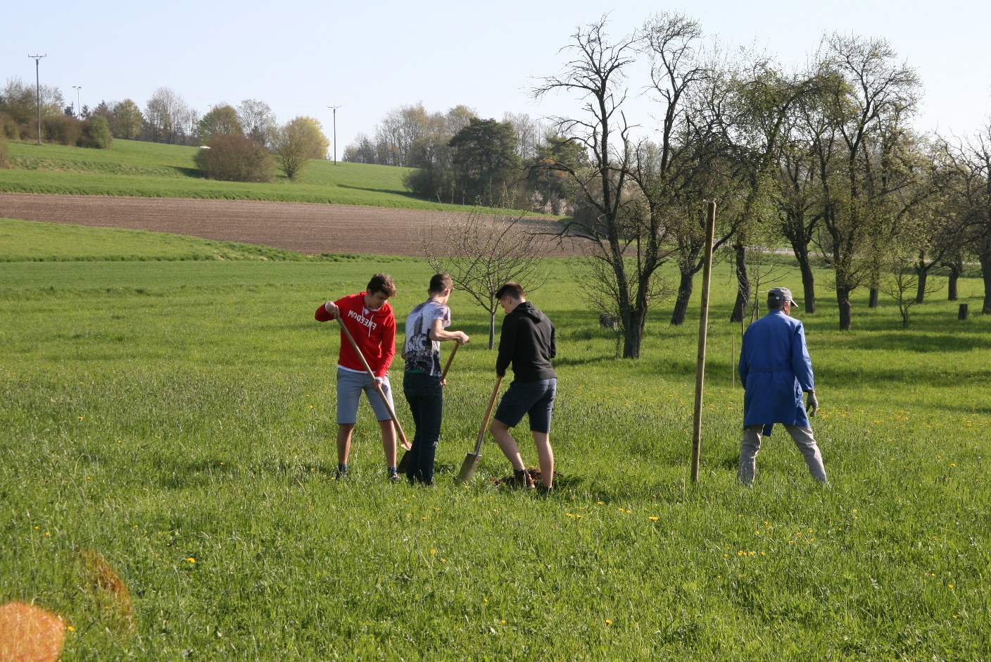Schüler beim Anpflanzen von Büschen in Ulm
