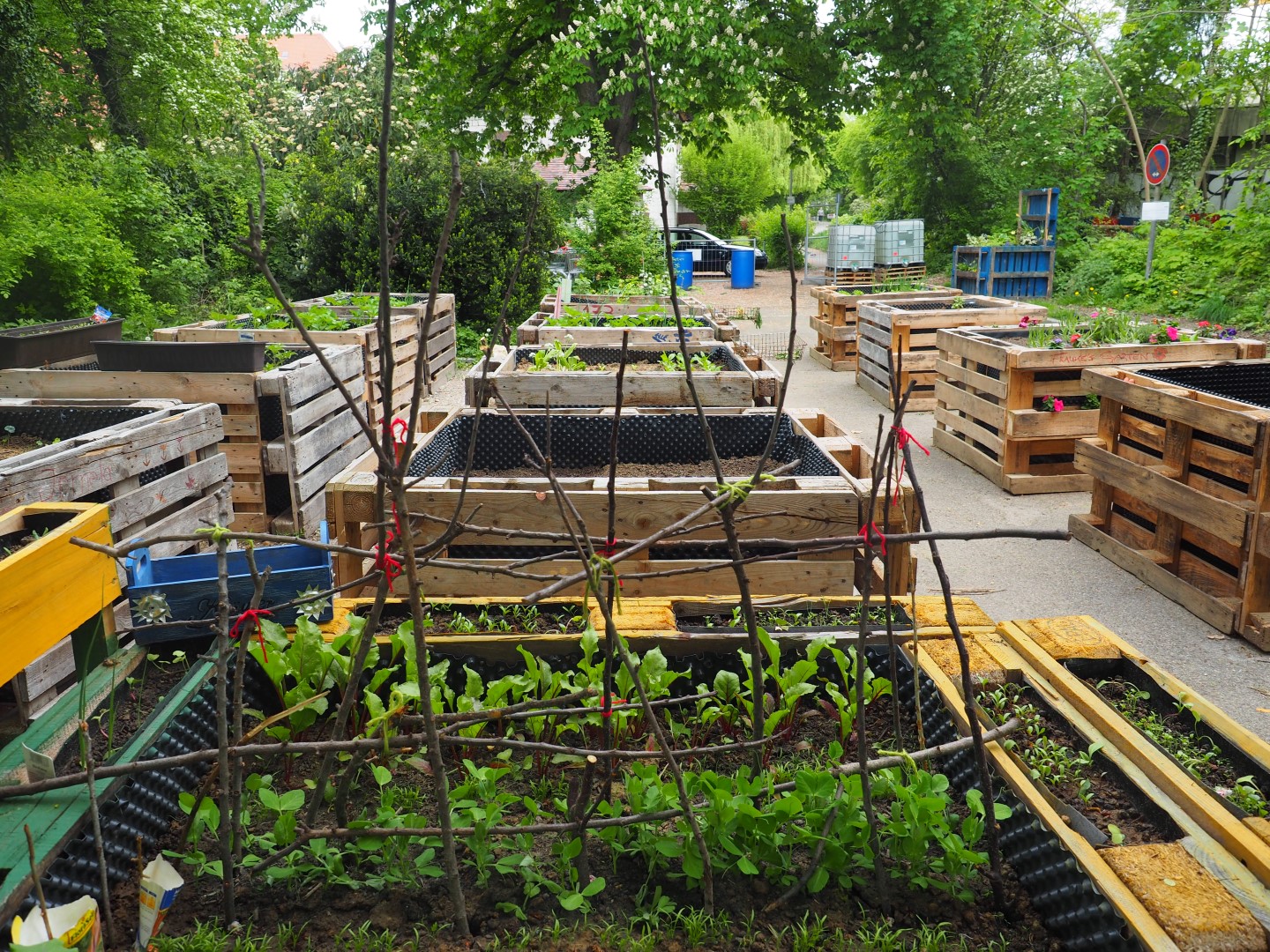 Hochbeete im Projekt "Städtisches Gärtnern in Ulm"